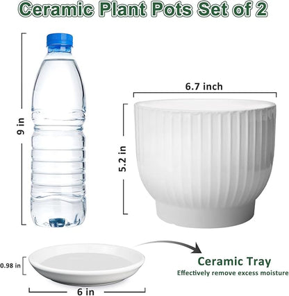 Ceramic Plant Pots,6.7 Inch,Set of 2,Planters with Drainage Hole and Saucer,Flower pots for Indoor Plants,Modern Design(Pure White,2 Pack)