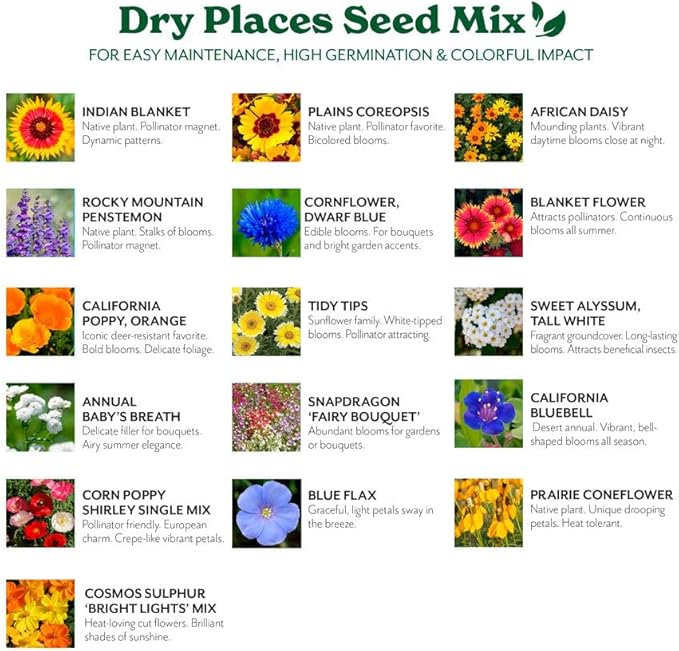Grow Your Own Vibrant Annual and Perennial Wildflower Garden Mixture, Varieties for Pollinators and Spring Gardens - Dry Places Mix, 1/4 lb