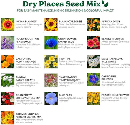 Grow Your Own Vibrant Annual and Perennial Wildflower Garden Mixture, Varieties for Pollinators and Spring Gardens - Dry Places Mix, 1/4 lb