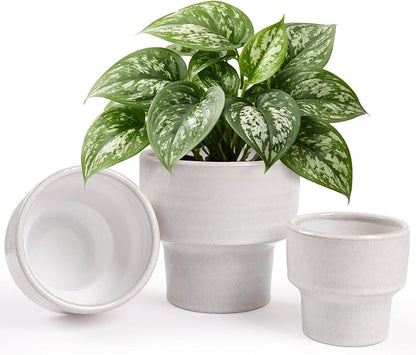 INGOFIN Ceramic Planter Pot Set of 3, 4/5/6 Inch Indoor Plant Decorative Cachepot for Pothos & Succulents, No Drainage Hole, Modern Tabletop Desk Display Pot for Home Decor, Pockmarks White