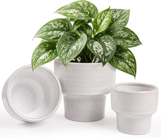 INGOFIN Ceramic Planter Pot Set of 3, 4/5/6 Inch Indoor Plant Decorative Cachepot for Pothos & Succulents, No Drainage Hole, Modern Tabletop Desk Display Pot for Home Decor, Pockmarks White