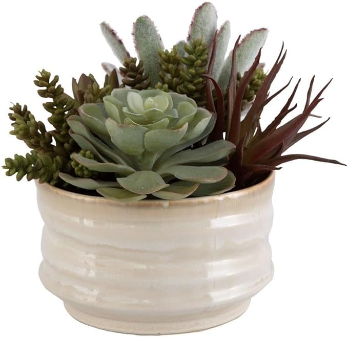 Uttermost Mesa Succulent - Planter-9 Inches Tall and 10 Inches Wide