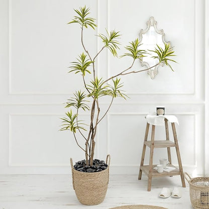 10 lbs Black Pebbles for Plants, 2-3 inch Large River Rocks for Plants, Decorative Stones for Planters Vase Aquarium Fish Tank and Outdoor Garden Landscaping