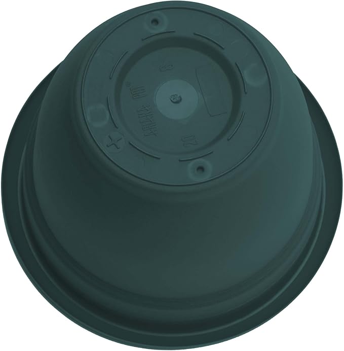 Bloem Ariana 6" Charleston Round Self-Watering Resin Planter Pot - Rolled Rim Indoor and Outdoor Gardening Planter