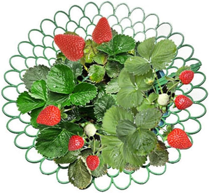 5pcs Strawberry Plant Support Racks Garden Holder for Balcony Outdoor Use Vertical Growth Space-Saving Design Optimal Air Circulation Trellis