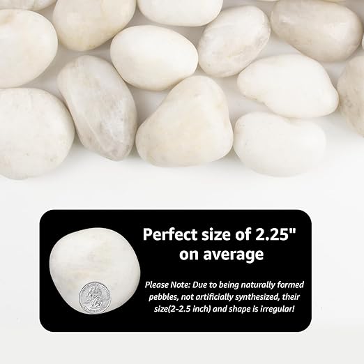 Natural Polished White River Rocks, 2-2.5 inches, 20 lbs - Suitable for River Rocks in Landscaping, Aquariums, and Drainage for Garden and Indoor Plants (White, Weight: 20 LB)