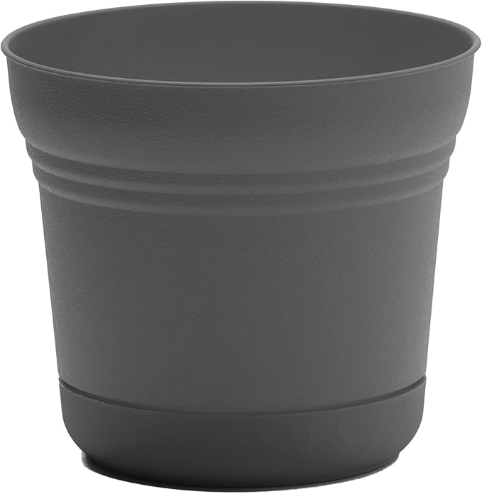 Bloem Saturn 5" Charcoal Round Resin Planter Pot with Snap-in Saucer for Indoor and Outdoor Gardening, 4-Pack