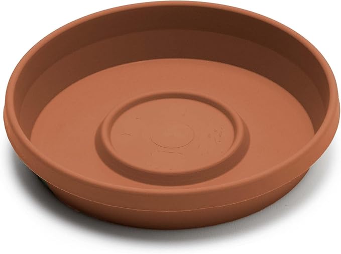 Bloem Terra Resin Saucer Tray: 4.75" Bottom Width - Terra Cotta - Matte, Durable, Ribbed Bottom, Indoor and Outdoor, Fits 6" Terra Pots