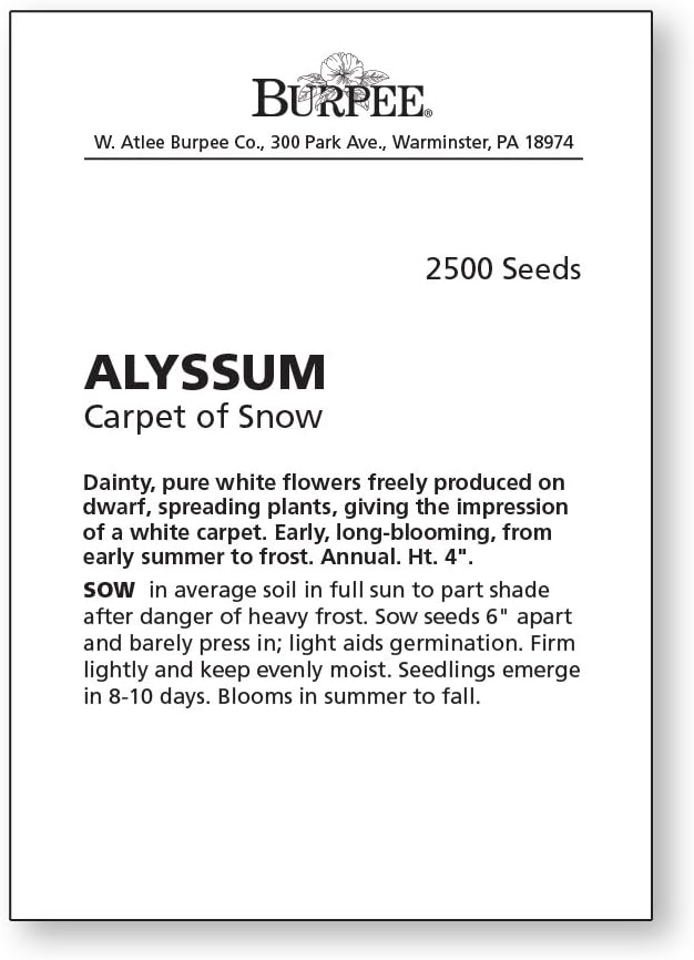 Burpee Carpet of Snow Alyssum Seeds 2500 seeds