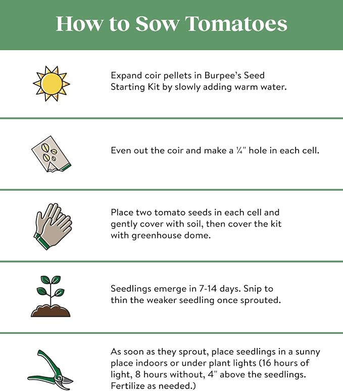 Burpee 'Better Boy' Hybrid Tomato Seeds , Large Slicing Red Tomato Variety , 30 Non-GMO Vegetable Seeds for Planting , Disease-Resistant Tomato for Garden