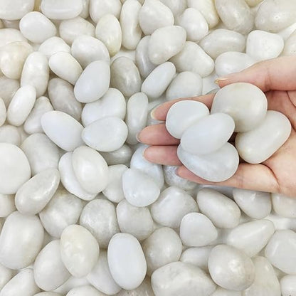FANTIAN 2 lbs Small White Pebbles for Plants, 0.8-1.2 inch Decorative River Rocks for Plants, Aquariums, Landscaping. White Stones for Planter Vase and Outdoor Garden Rocks