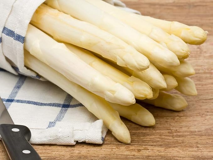 Seeds White Asparagus Non GMO Heirloom