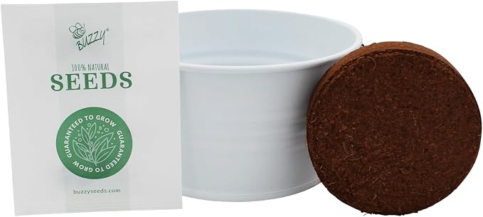 Buzzy Seeds Grow Your Own Christmas Tree Kit - Metal Windowsill Planter - Complete Indoor/Outdoor Gardening Kit with Seeds, Coconut Husk Growing Medium & Genuine Pots - 100% Grow Guarantee