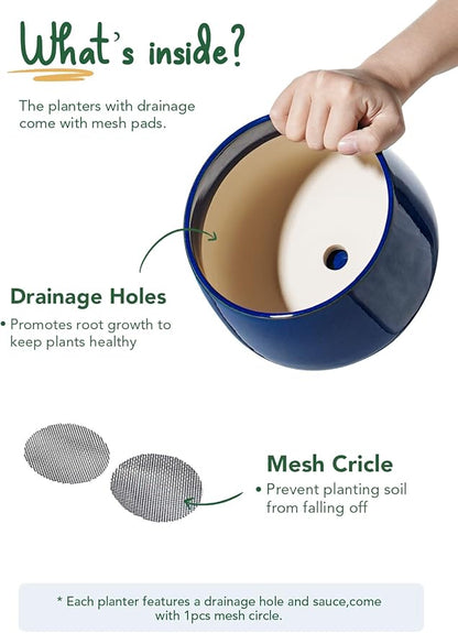 LE TAUCI Plant Pots, 4.1+5.1+6.5 inch, Set of 3, Ceramic Planters with Drainage Hole and Saucer, Indoor Flower Pot with Hole Mesh Pad, Gifts for Mom, Sapphire Blue