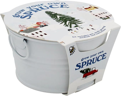 Buzzy Seeds Grow Your Own Christmas Tree Kit - Metal Windowsill Planter - Complete Indoor/Outdoor Gardening Kit with Seeds, Coconut Husk Growing Medium & Genuine Pots - 100% Grow Guarantee