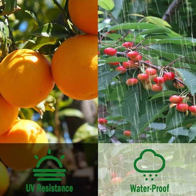 Bird Netting for Garden 6.5x13FT Garden Netting for Fruit Tree Blueberry Bushes Strawberry Plants Netting Cover for Garden Protection Anti Bird Deer Squirrel and Other Animals