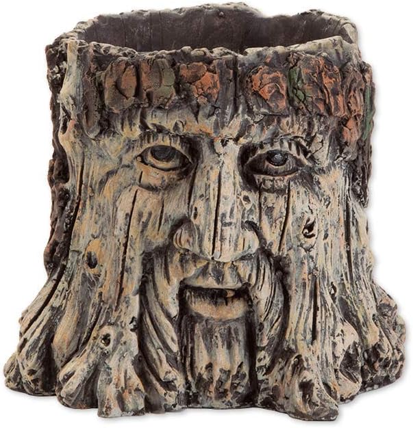 Bits and Pieces - Tree Face Garden Planter - Durable Polyresin Indoor-Outdoor Urn for Plants - Forest Inspired Whimsical Garden Décor