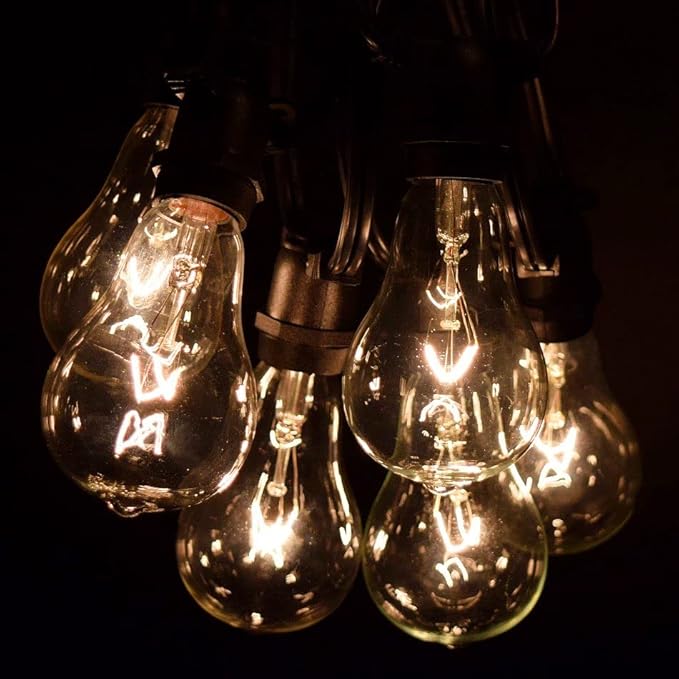 Hometown Evolution, Inc. Commercial Grade Vintage Edison Outdoor String Lights (PS50 Clear - Commercial Black Wire, 25 ft)