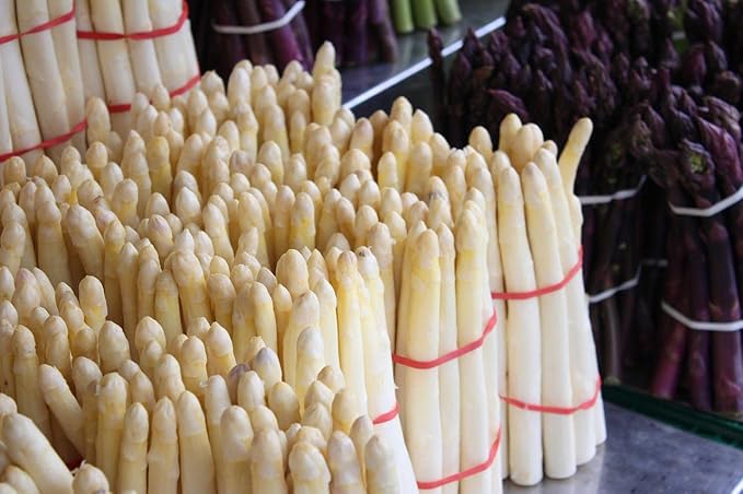Seeds White Asparagus - Sparrow Grass - Heirloom Vegetable - GMO Free