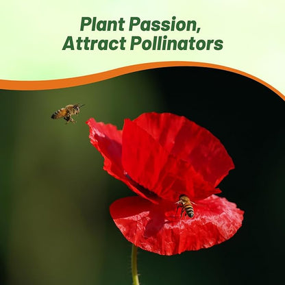 Outsidepride Red Poppy Seeds for Planting - 1/4 lb. Annual, Drought-Tolerant & Easy to Grow Wildflower Seeds with Vibrant Red Blooms for Landscaping, & Pollinator Garden