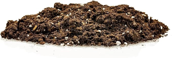 Gardenera RA Premium Snake Plant Potting Soil Mix, Green Sansevieria Trifascatia Zeylanica Plants, Plant or Re-Pot Your Snake Plant - (5 Quart Bag), (SNAKE-PLANT-5QT)