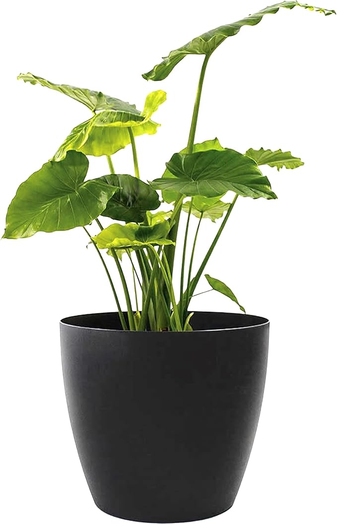 Memphis 15" Round Indoor Floor Planter Pot – Lightweight & Durable Plastic, Modern Design, Made in USA, Recyclable Large Plant Container for Home & Office Décor (Black)