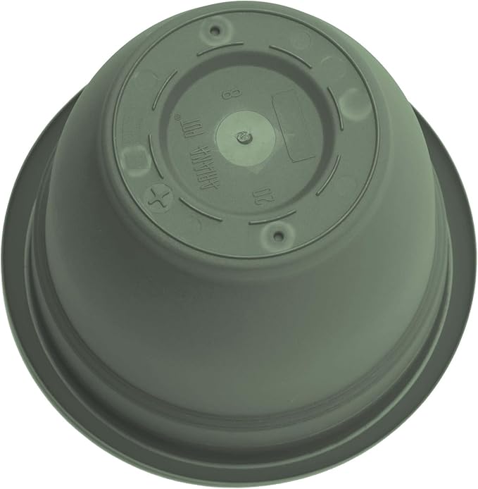 Bloem Ariana 6" Basil Round Self-Watering Resin Planter Pot - Rolled Rim Indoor and Outdoor Gardening Planter