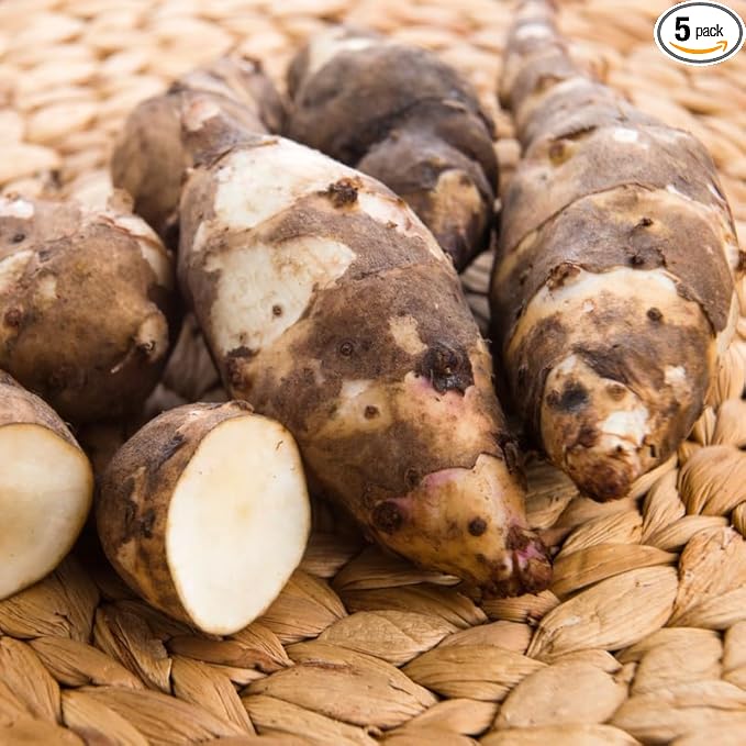 5Pcs Jerualem Artichoke Tubers For Planting, Sunroots Sunchokes Tubers For Planting, Fresh Jerusalem Artichoke Roots Ready To Grow