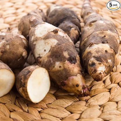 5Pcs Jerualem Artichoke Tubers For Planting, Sunroots Sunchokes Tubers For Planting, Fresh Jerusalem Artichoke Roots Ready To Grow