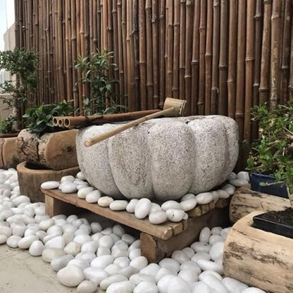 YISZM 20lbs White River Rocks for Landscaping, 2-3 Inch Natural Pebbles for Indoor Plants, High Polished Decorative Stones Vase Filler Fish Tank Aquariums Garden Outdoor and Indoor DIY