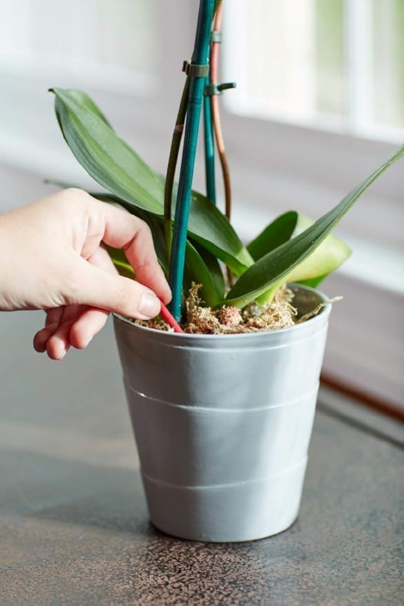 Miracle-Gro Orchid Plant Food Spikes, Plant Fertilizer, 10 Spikes/Pack (24-Pack)