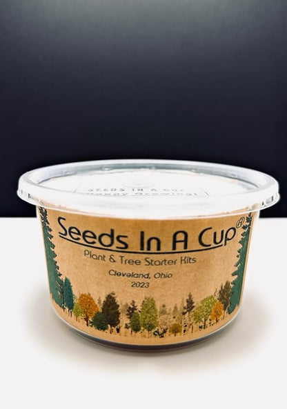 Ash Tree | Seeds In A Cup: Ash Tree Starter Kit | Easy to use | Educational | Memorial Gift | Plant It for The Planet | Grow Your Own Tree | Plastic Planter