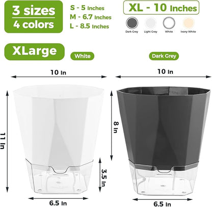 4 Pack Self Watering Pots for Indoor Plants, 10 Inches Self Watering Planters African Violet Pots Clear Pots for Herb Orchid Flower Houseplant, Dark Grey