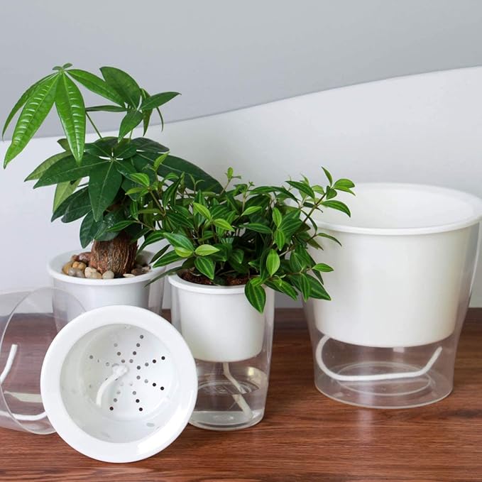 3 Packs 7" Large Clear Self-watering Planters African Violet Pots Plastic Plant Pots Wicking Flower Pots for Indoor Plants, Herbs, African Violet, Ocean Spider Plant, Orchid Pot, Clear and White