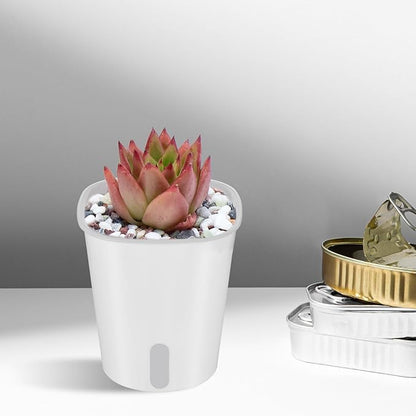 4 Inch Self Watering Pots for Indoor Plants,10 Sets Self Watering Planter Pots with Visual Water Level Window and Multiple Vents,Self Watering Plant Pot for All House Plants,Flowers,Herbs