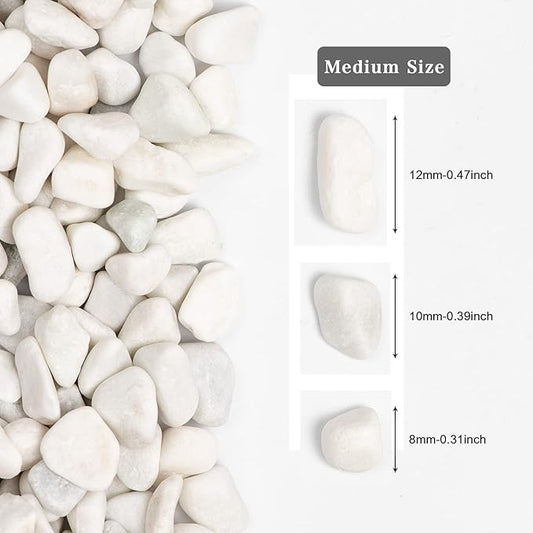 5lbs White Natural River Rocks, Polished Pebbles for Plants Garden, 0.3-0.8 inch Decorative White Stones, Ideal for Fish Tank, Vases, Crafting, Home Decor and Garden Landscaping Rocks,White