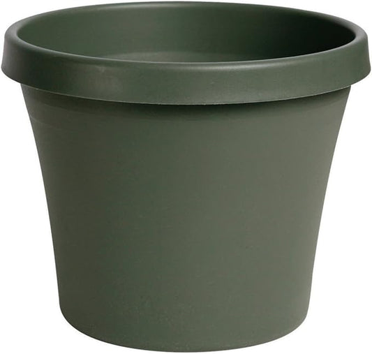 Bloem Terrapot 5.5 in. H x 6 in. Dia. Resin Traditional Thyme Green Planter