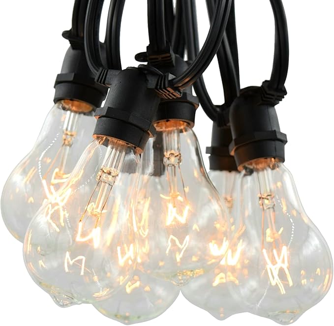 Hometown Evolution, Inc. Commercial Grade Vintage Edison Outdoor String Lights (PS50 Clear - Commercial Black Wire, 25 ft)