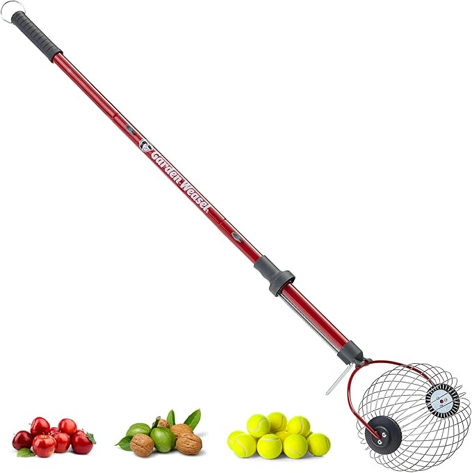 GARDEN WEASEL Large Nut Gatherer Roller – Nut Collector Tool for Walnuts, Tennis Balls and More – Yard Picker Upper with Durable Cage and Ergonomic Handle - Newest Model