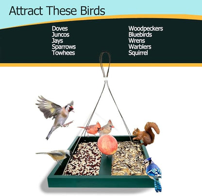 Solution4Patio Platform Bird Feeder for Outdoors Hanging, Open-Air Wild Bird & Squirrel Feeder, 360° Viewing Hanging Tray with Rust-Resistant Mesh & Quick-Fill Design