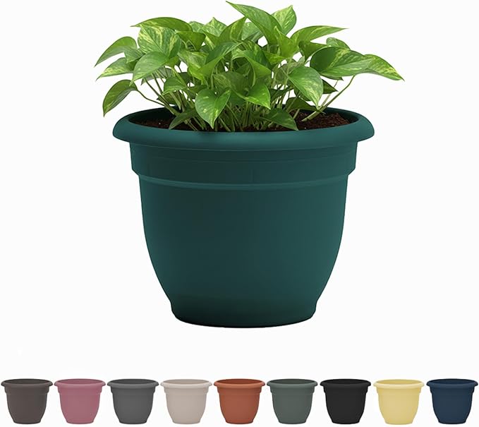Bloem Ariana 6" Charleston Round Self-Watering Resin Planter Pot - Rolled Rim Indoor and Outdoor Gardening Planter
