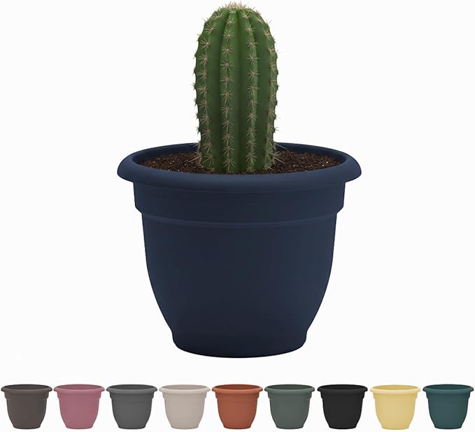 Bloem Ariana 6" Navy Round Self-Watering Resin Planter Pot - Rolled Rim Indoor and Outdoor Gardening Planter