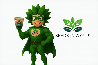 Fig Tree | Seeds In A Cup® - Fig Seed Starter Grow Kit | Easy to use | Educational | Great Gift Idea | Grow Your Own |