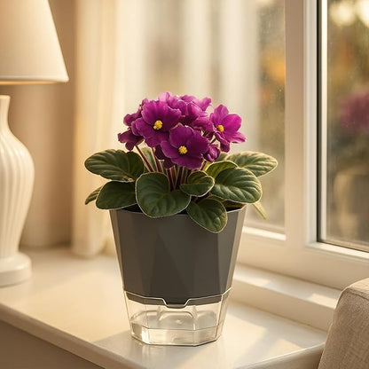 5 Pack Self Watering Pots for Indoor Plants, 5/6.7/8.4 in Self Watering Planters African Violet Self Watering Clear Pots for Plants Herb Orchid Flower Houseplant Pots, Dark Grey