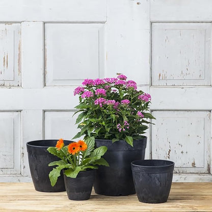 Root & Vessel Dolce Round Planter, Black, 12"