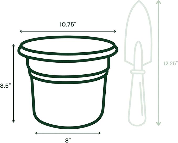 Bloem Posy 10" Basil Round Resin Planter Pot Indoor and Outdoor Gardening
