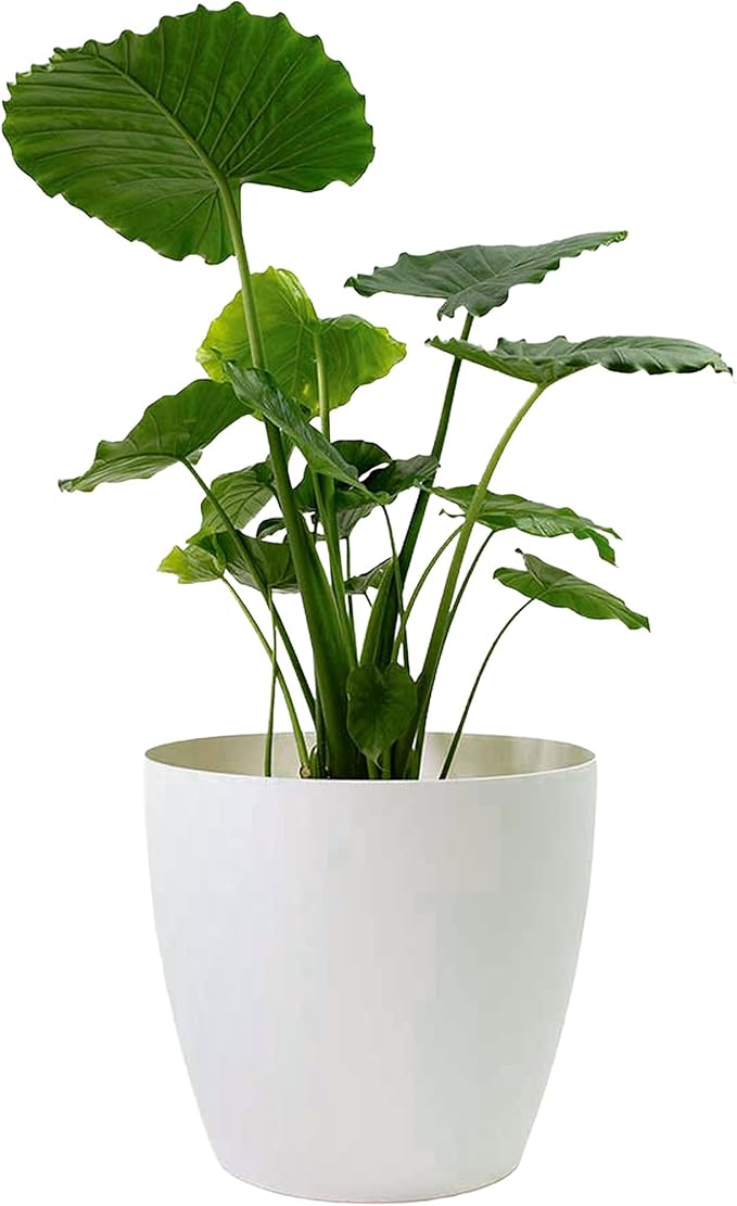 Memphis 13" Round Indoor Floor Planter Pot – Lightweight & Durable Plastic, Modern Design, Made in USA, Recyclable Large Plant Container for Home & Office Décor (White)
