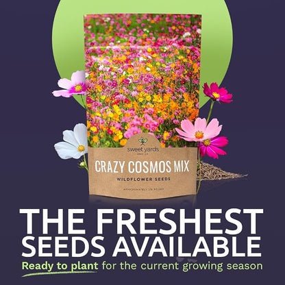 Cosmos Seeds Wildflower Mixture - Bulk Quarter Pound Bag - Over 20,000 Seeds - Pink, Yellow, Orange, Red, Purple and White Mixed Species!