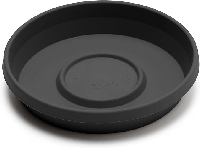 Bloem Terra Resin Saucer Tray: 8" Bottom Width - Black - Matte, Durable, Ribbed Bottom, Indoor and Outdoor, Fits 10" Terra Pots
