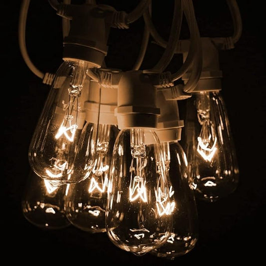 Hometown Evolution, Inc. Commercial Grade Vintage Edison Outdoor String Lights (ST40 Clear - Commercial White Wire, 50 ft)